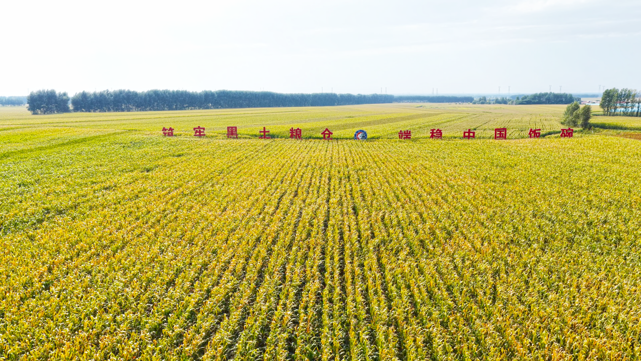 “黑土粮仓”科技会战黑土地全域保护技术取得重大突破