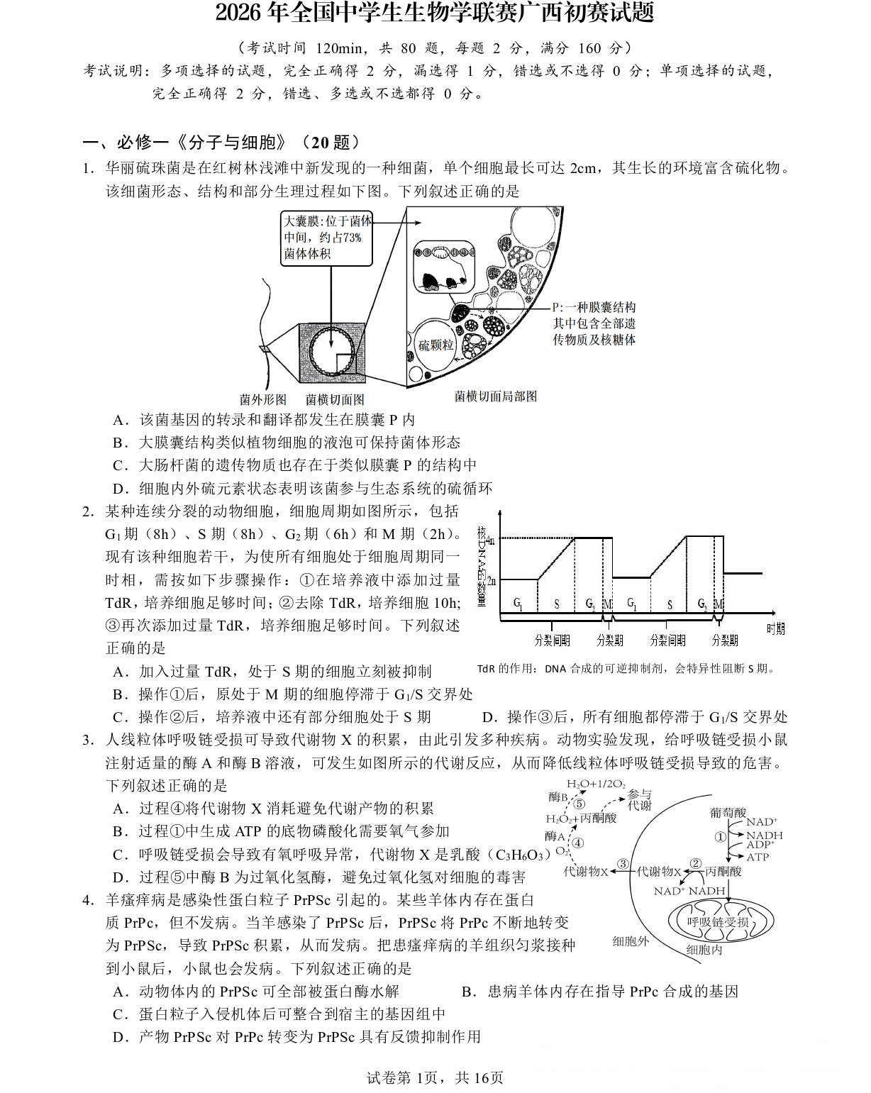 2026年全国中学生生物学联赛广西初赛试题及答案