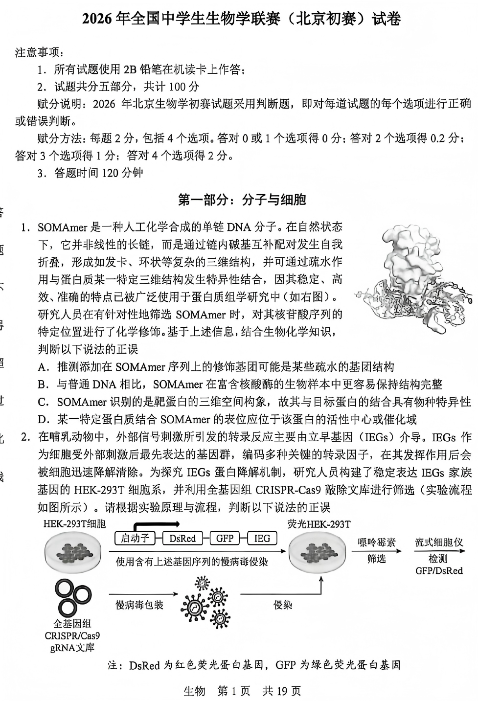 2026年中学生生物学联赛（北京赛区）初赛试题及答案