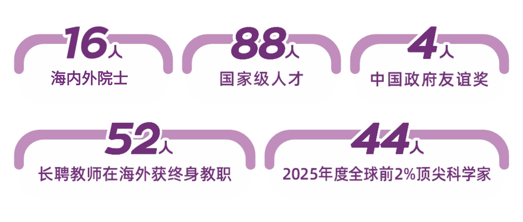 深圳理工大学2026本科招生:新增集成电路与AI,大二100%自由选专业