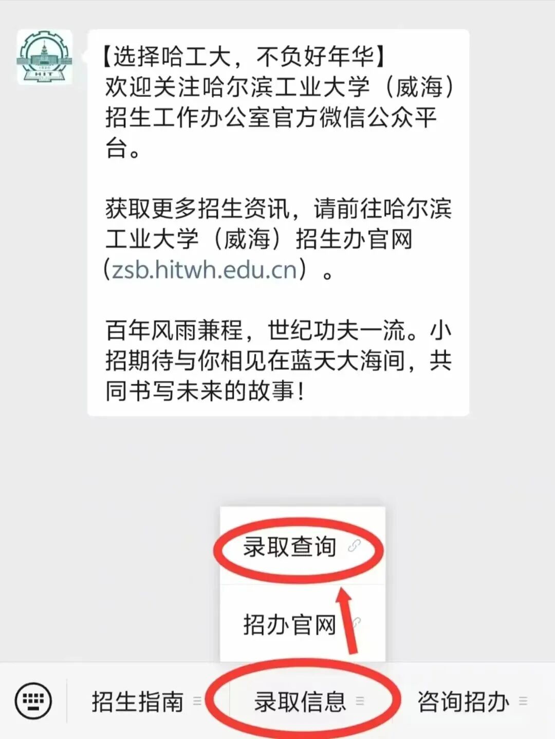 哈尔滨工业大学(威海)2026年综合评价招生录取结果