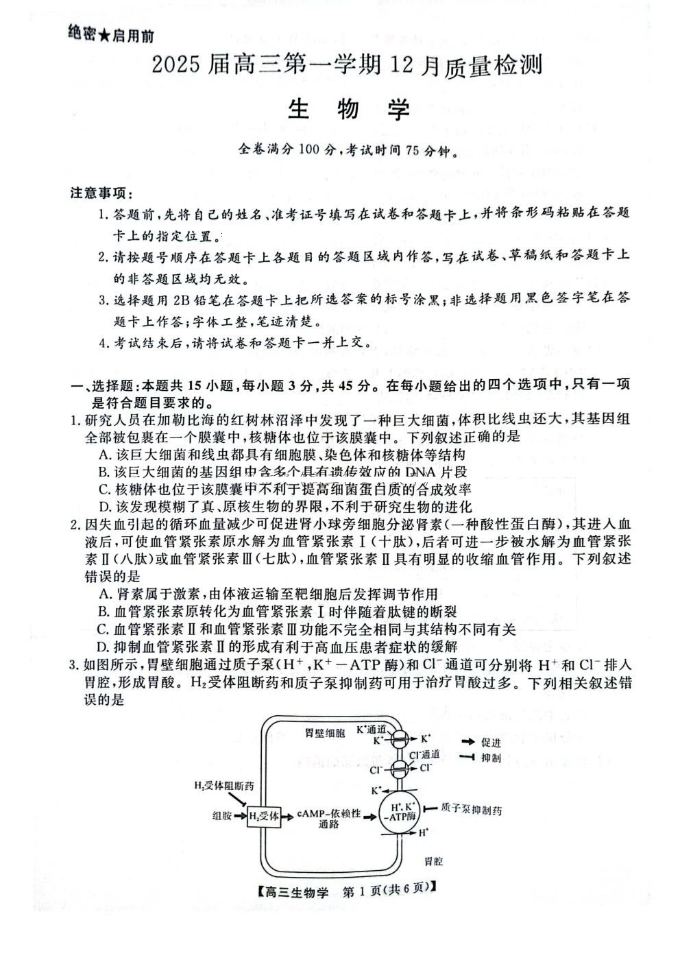 华师联盟2025届高三12月质量检测生物试题及答案