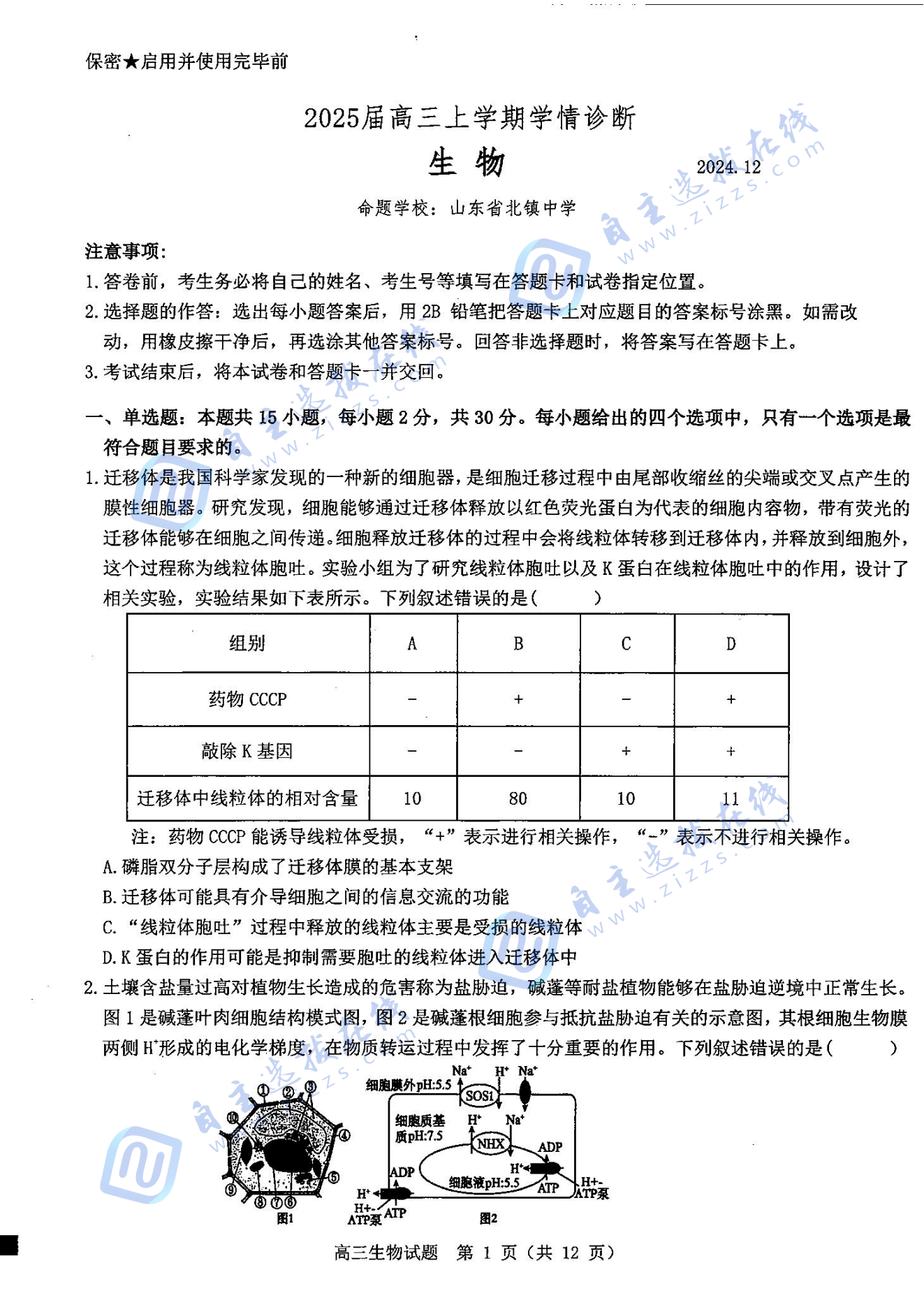 山东中学联盟2025届高三12月百校大联考生物试题及答案