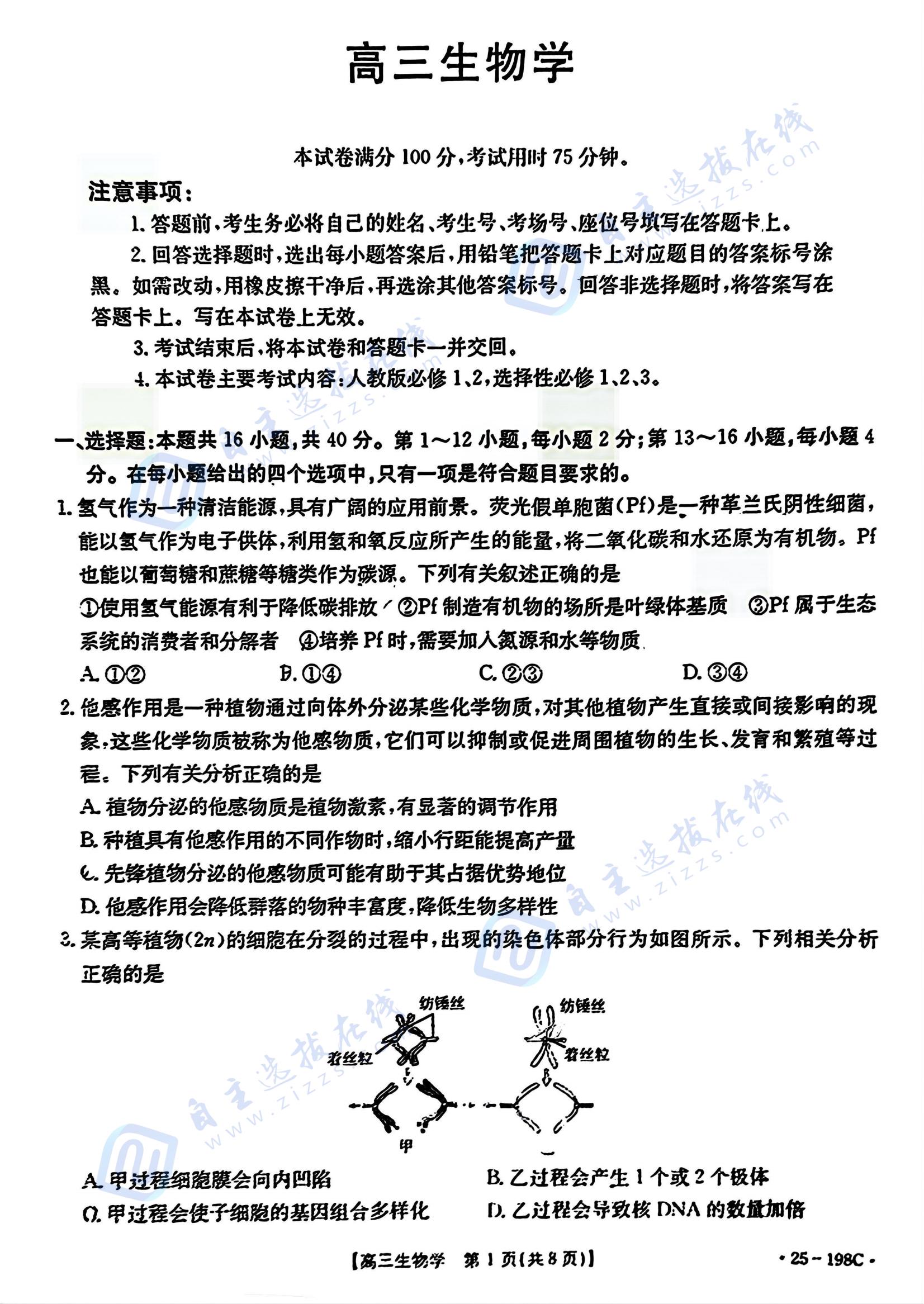 广东2025届高三12月金太阳大联考生物试题及答案