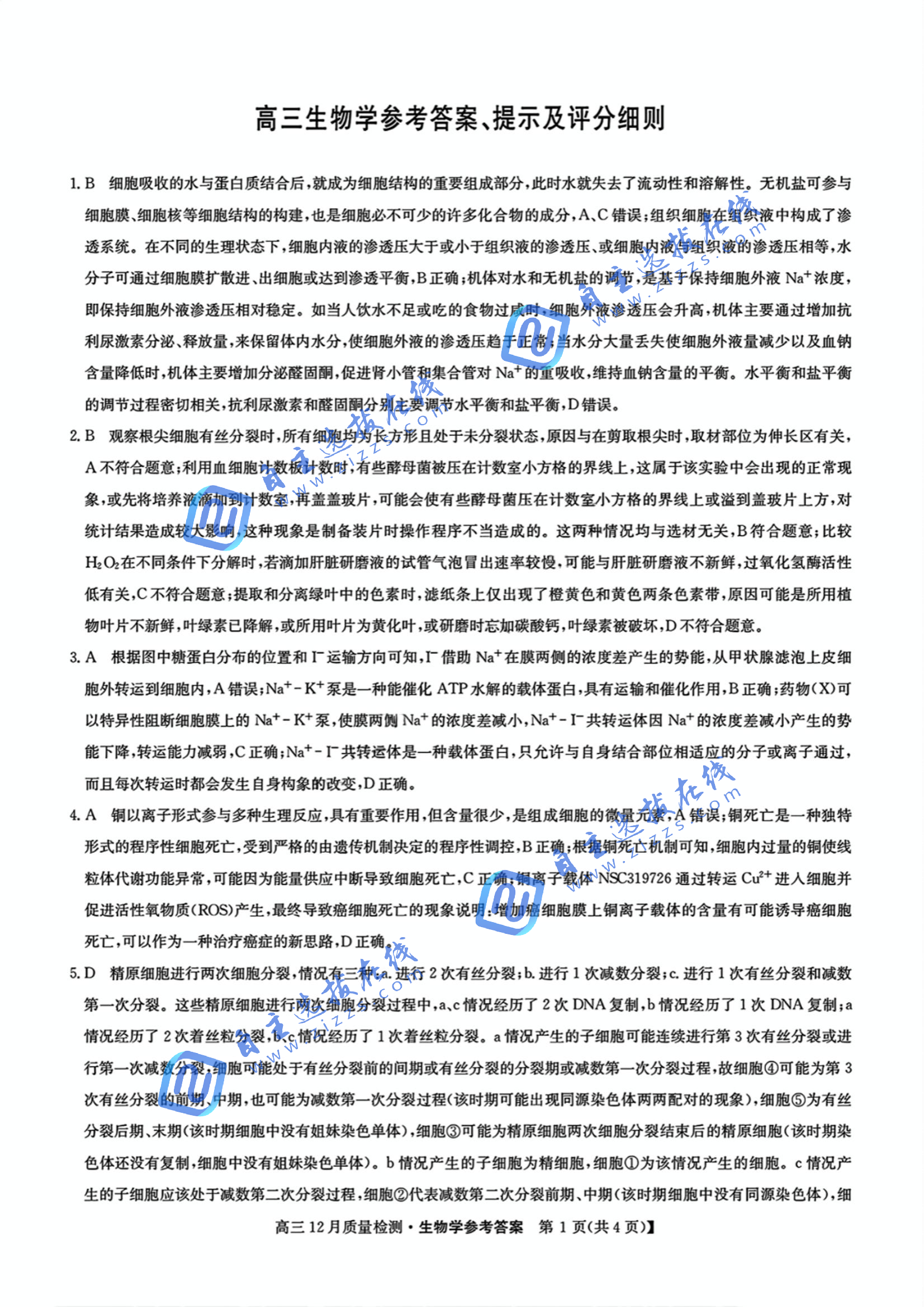 九师联盟2025年高三12月质量检测生物试题及答案