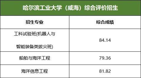 哈工威2024年综评分专业录取情况