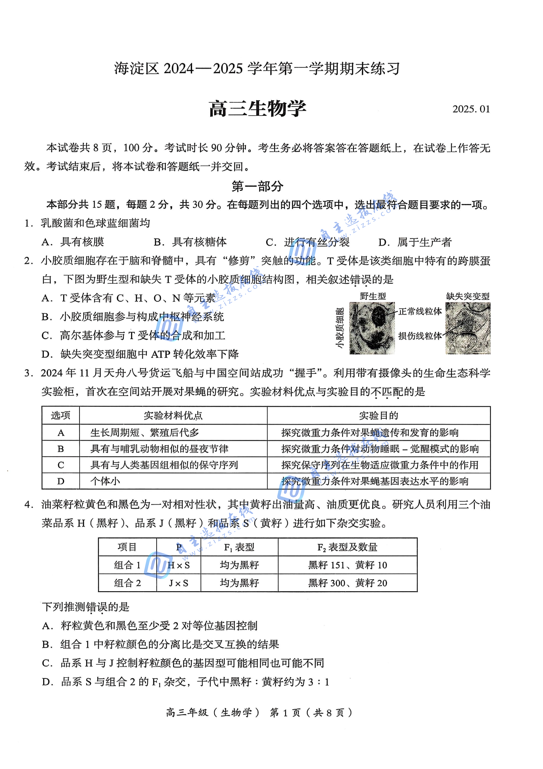 北京市海淀区2025届高三期末考试生物试题及答案