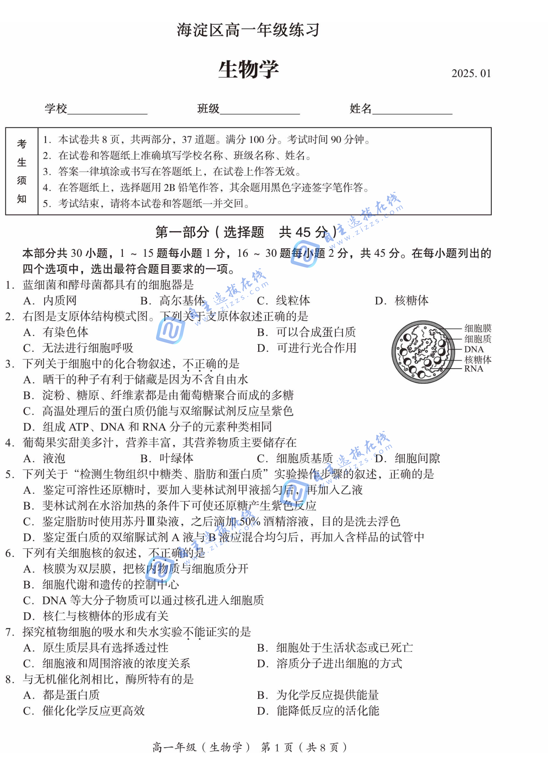 北京市海淀区2024-2025学年高一第一学期期末生物试题及答案