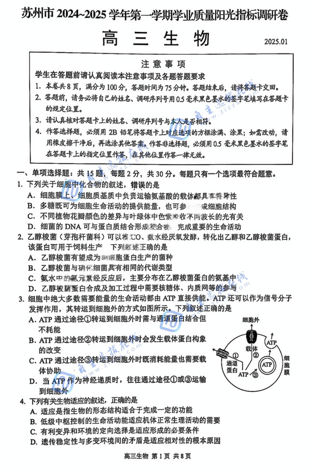 苏州市2025届高三学业质量阳光指标调研卷生物试题及答案