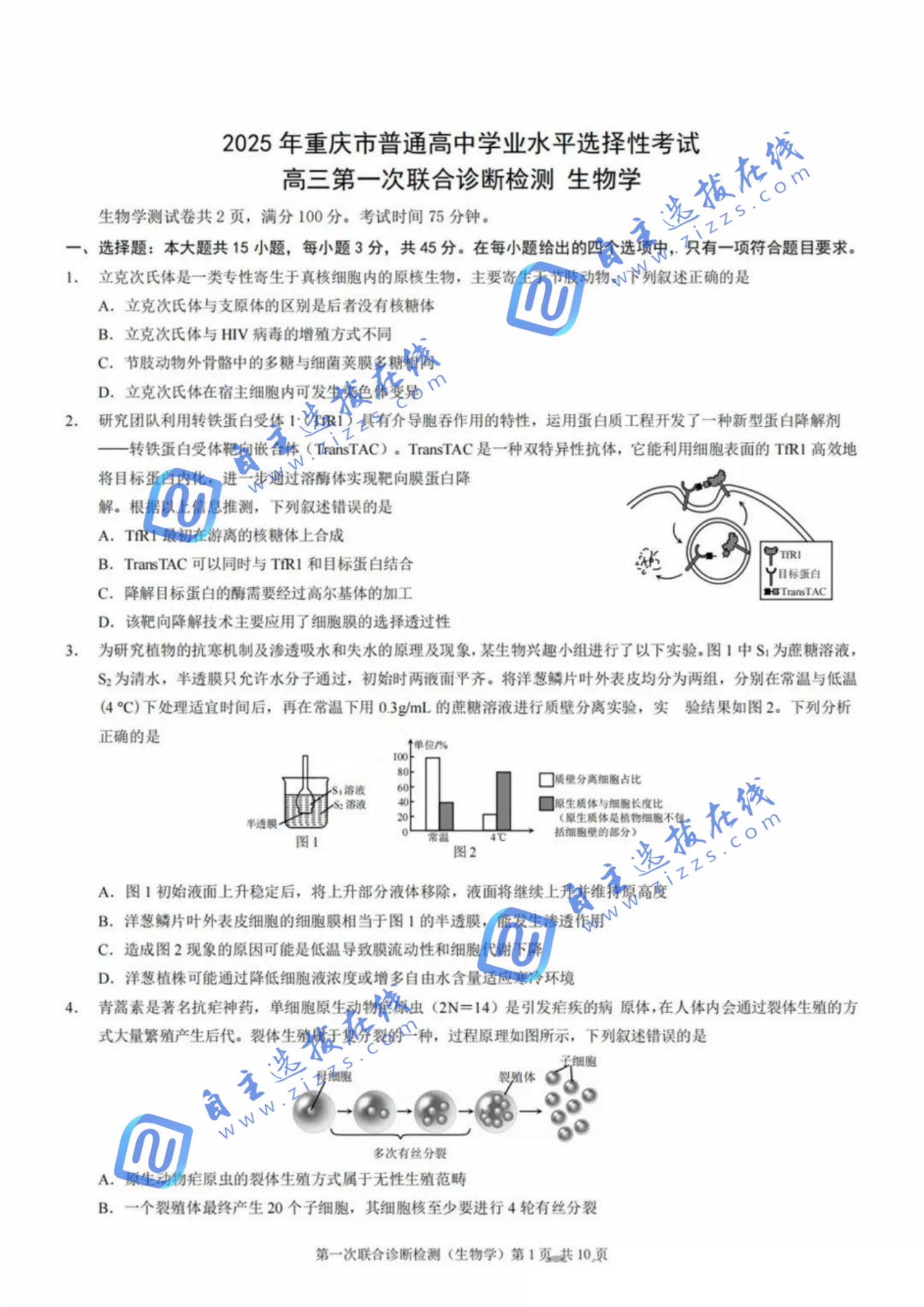 重庆2025届高三一诊生物试题及答案