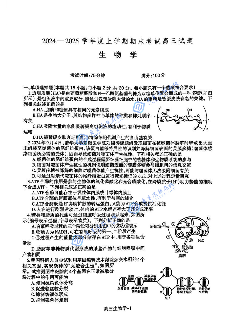 辽宁协作体2024-2025学年度高三期末生物试题及答案