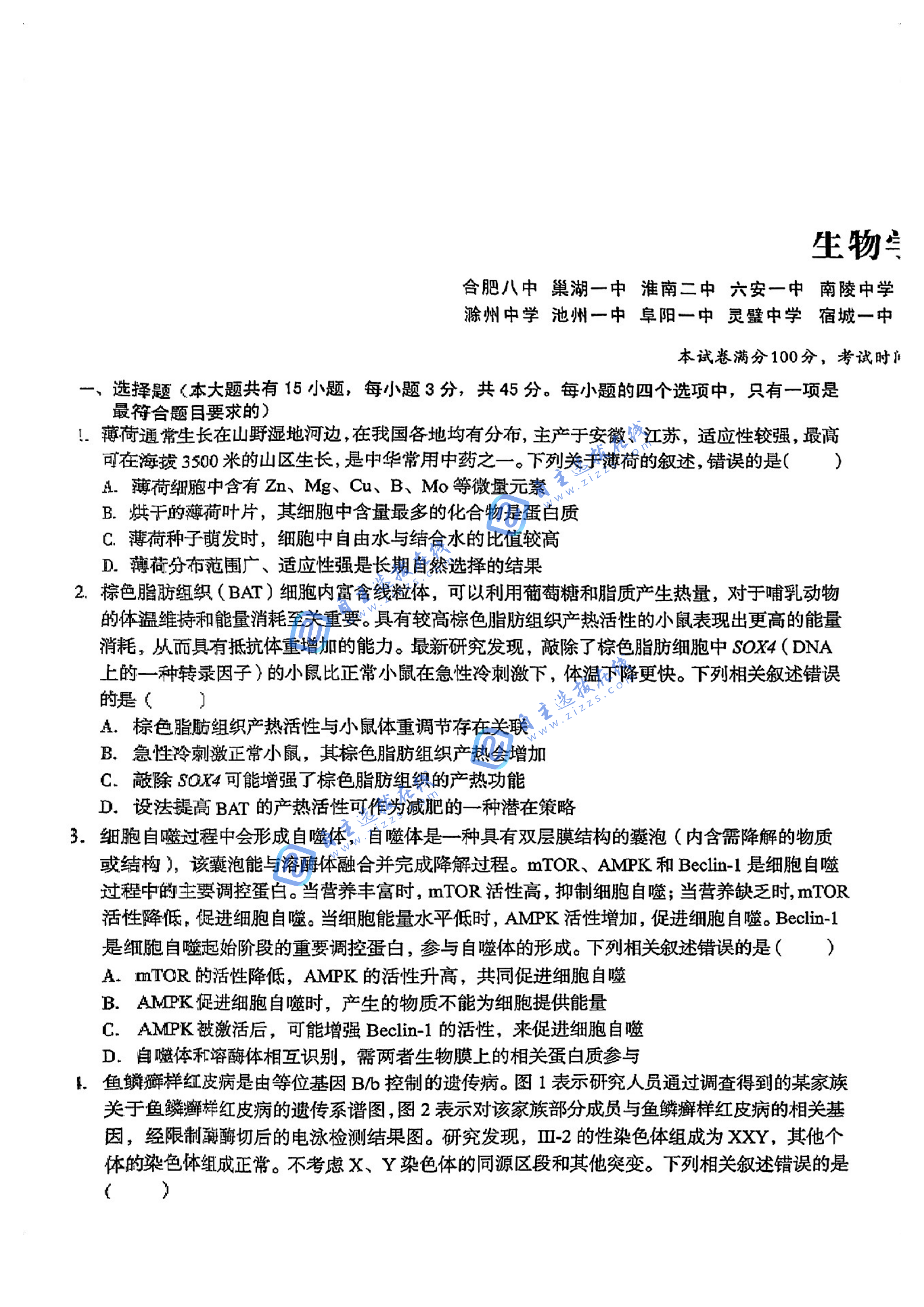 徽A10联盟2025届高三2月开年考生物试题及答案