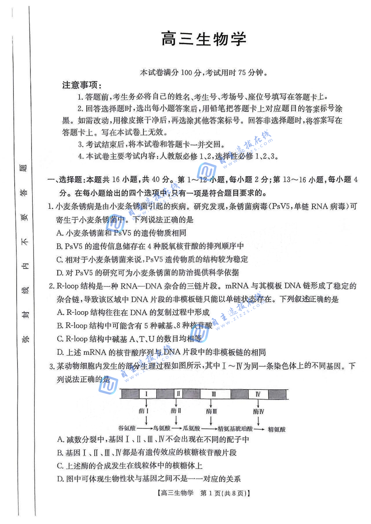 广东2025年高三2月大联考生物试题及答案