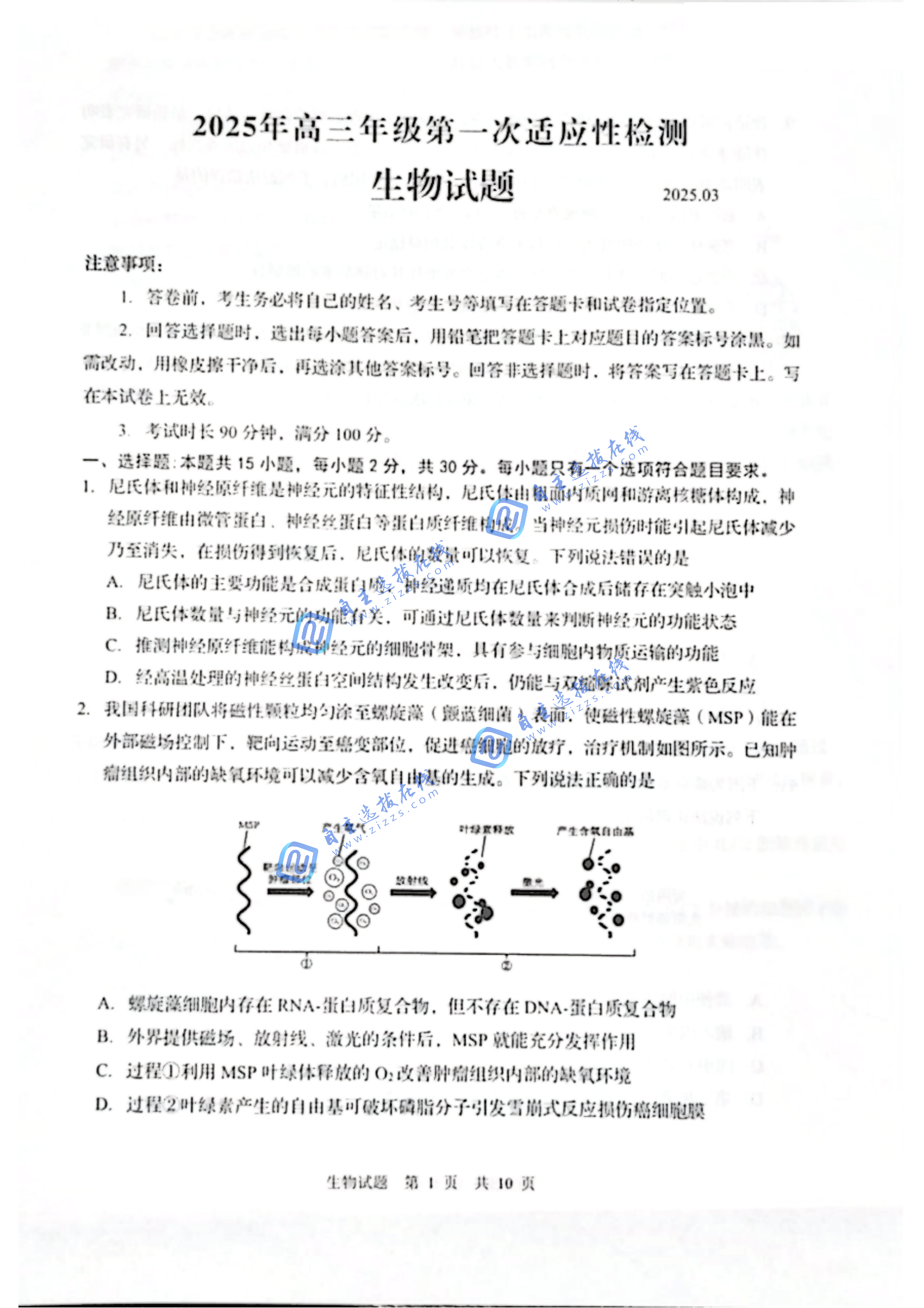 山东省2025届高三青岛一模生物试题及答案