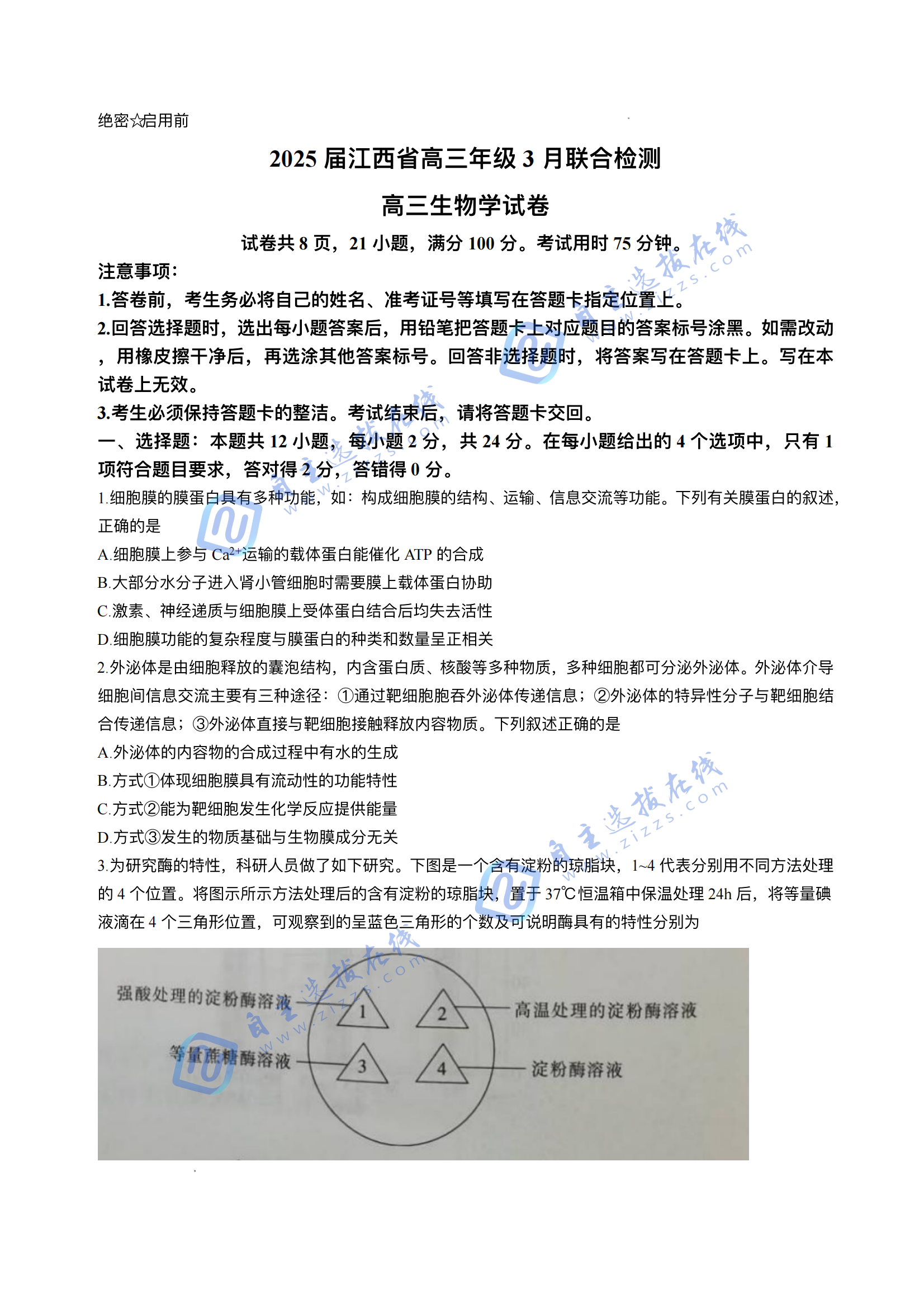 江西稳派上进联考2025届高三二轮总复习阶段检测生物试题及答案