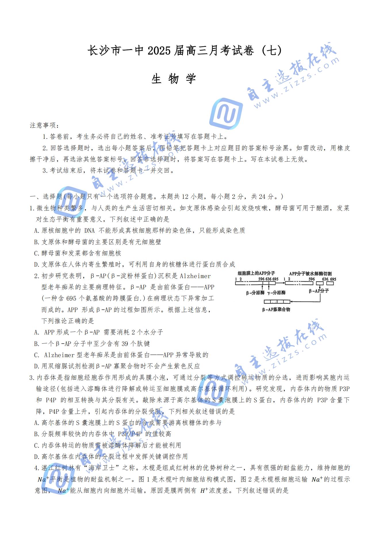 炎德英才湖南省长沙市第一中学2025届高三月考（七）生物试题及答案