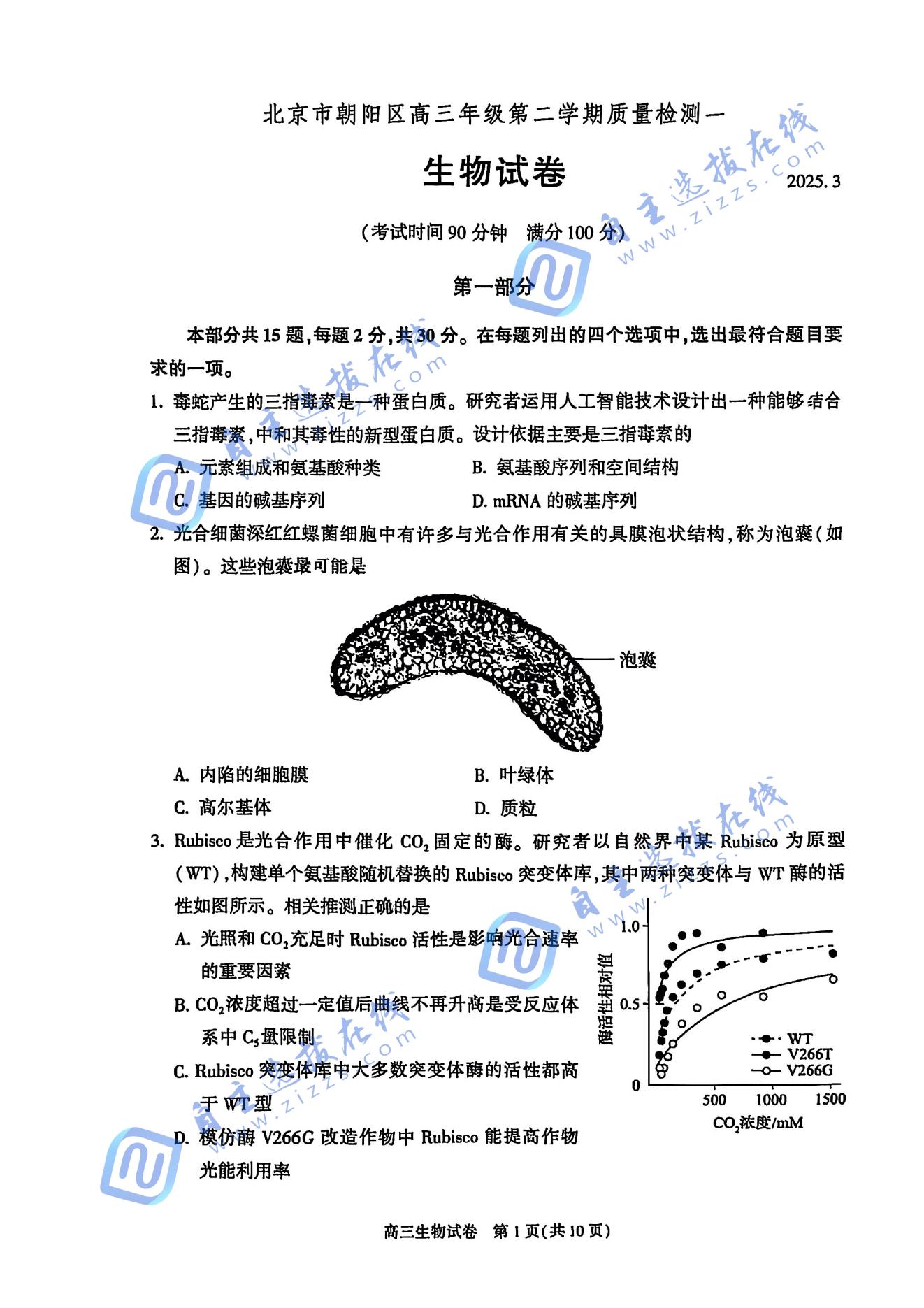 2025年高三朝阳一模生物试题及答案