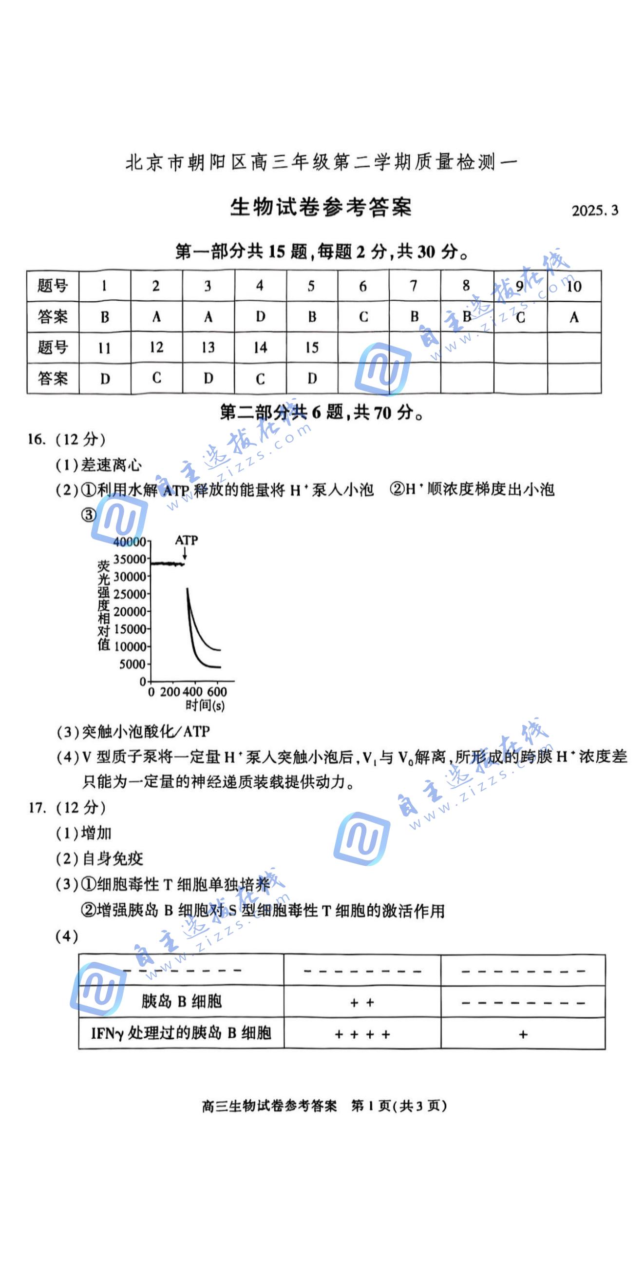 2025年高三朝阳一模生物试题及答案