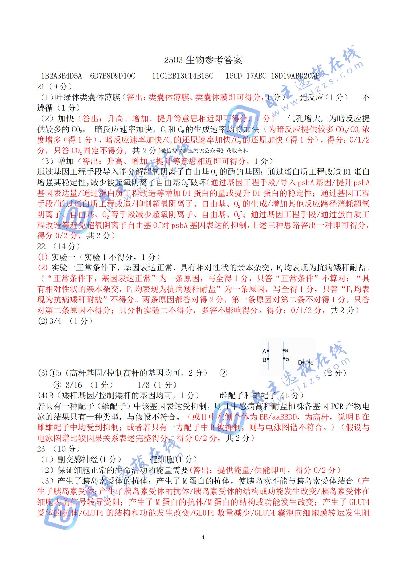 2025届山东济南高三一模生物试题及答案