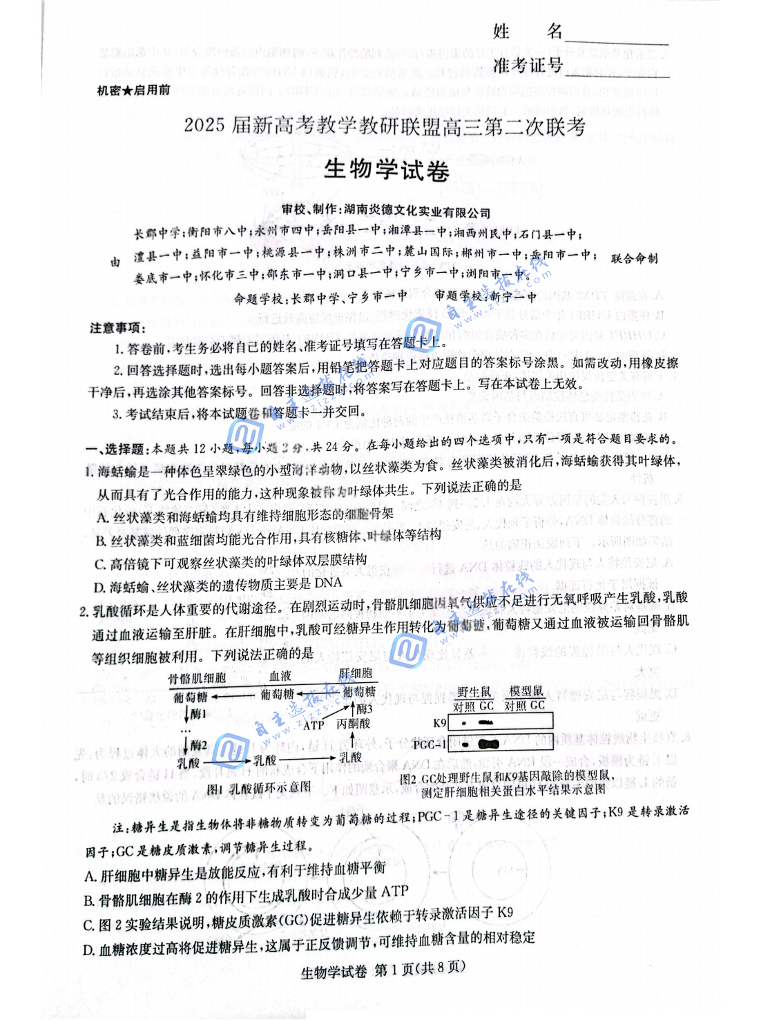 湖南长郡二十校联盟2025届高三第二次联考生物试题及答案