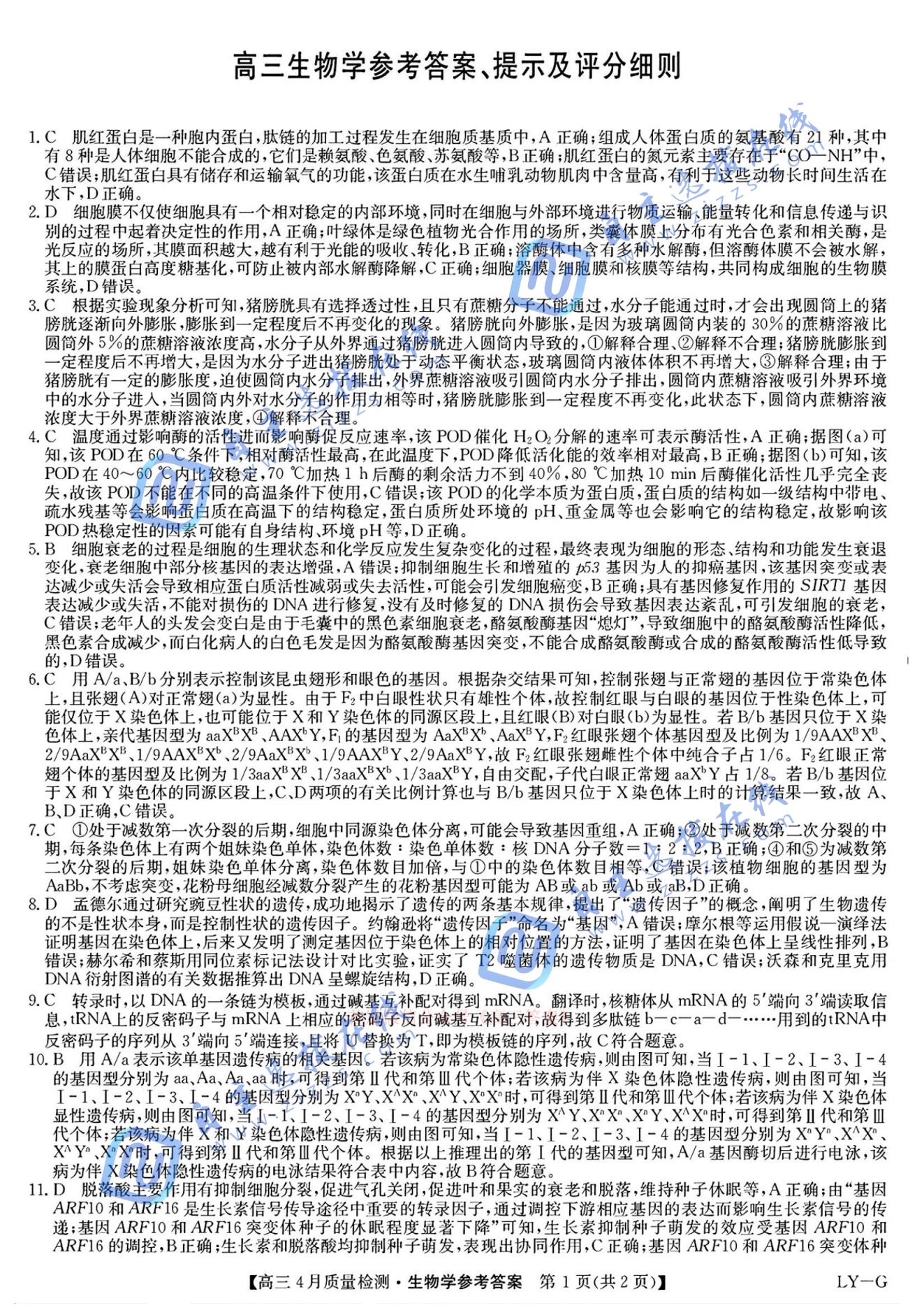 九师联盟2025届高三教学质量监测5月仿真模拟生物试题及答案