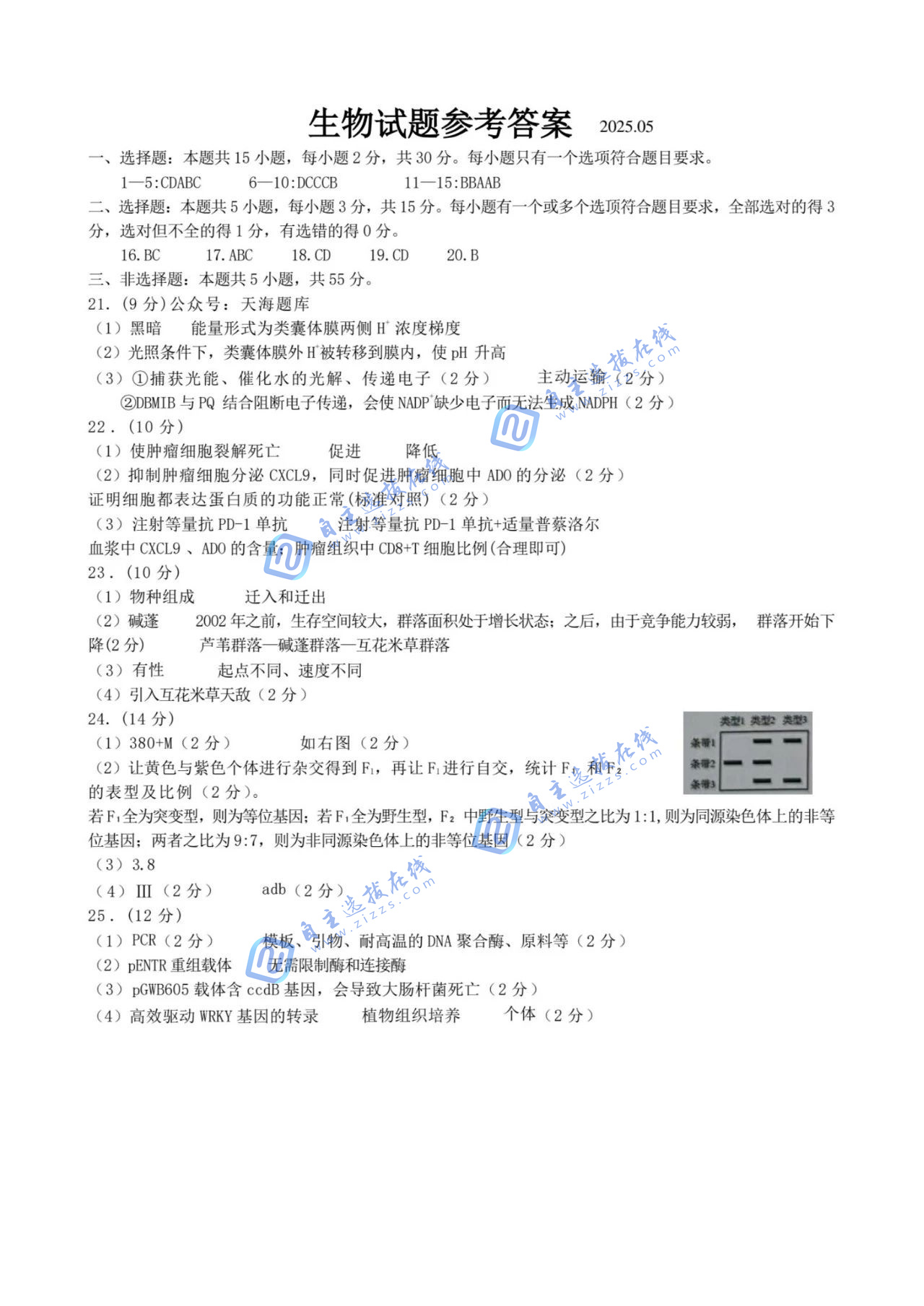 2025届山东青岛高三二模生物试题及答案