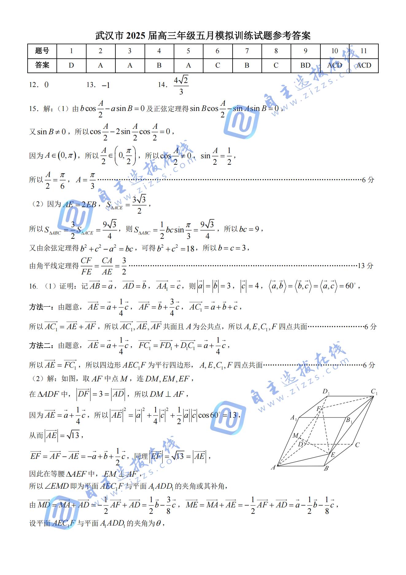 湖北武汉2025届高三五月模拟训练数学试题及答案