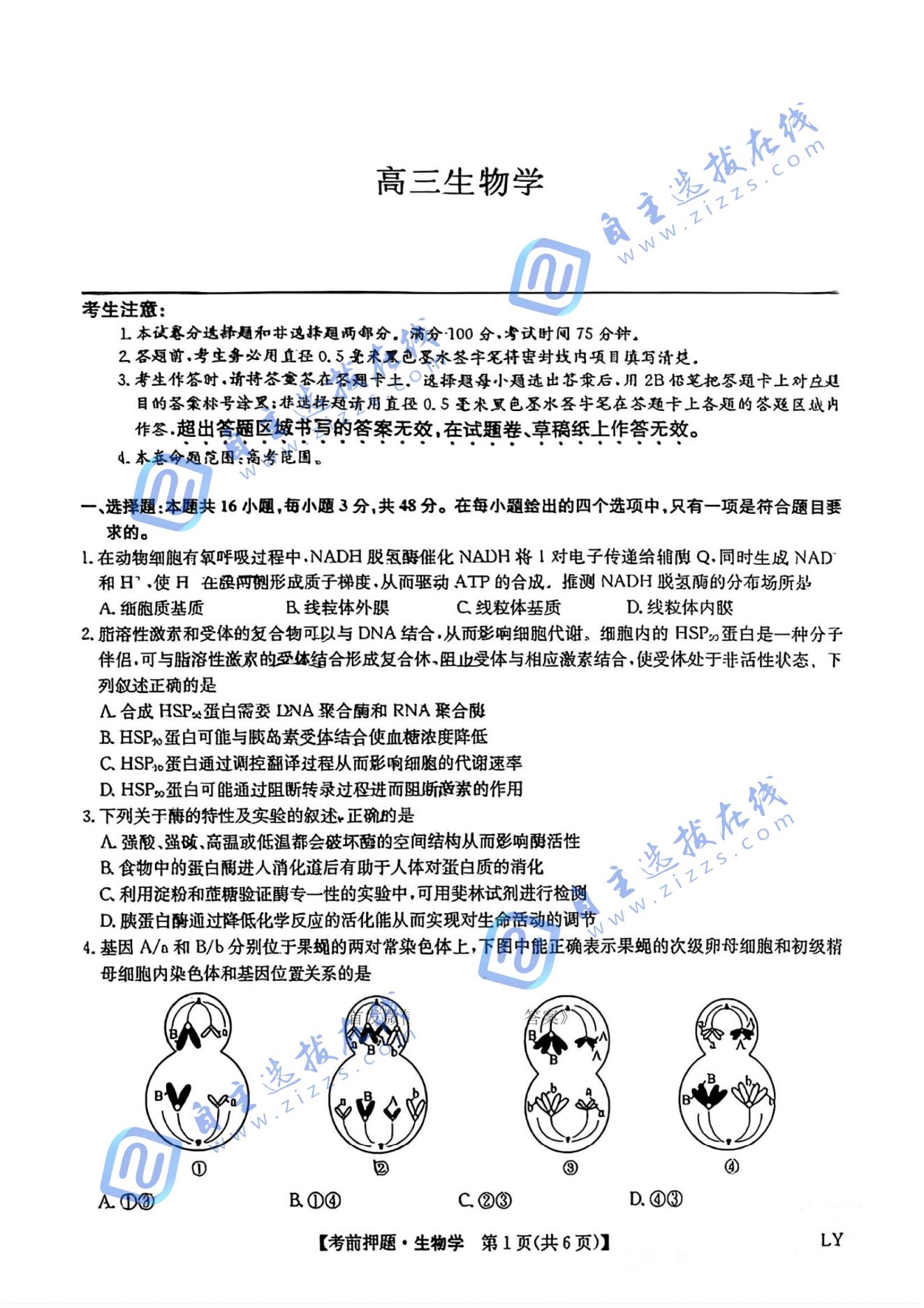 九师联盟2025届高三5月考前冲刺联考一生物试题及答案