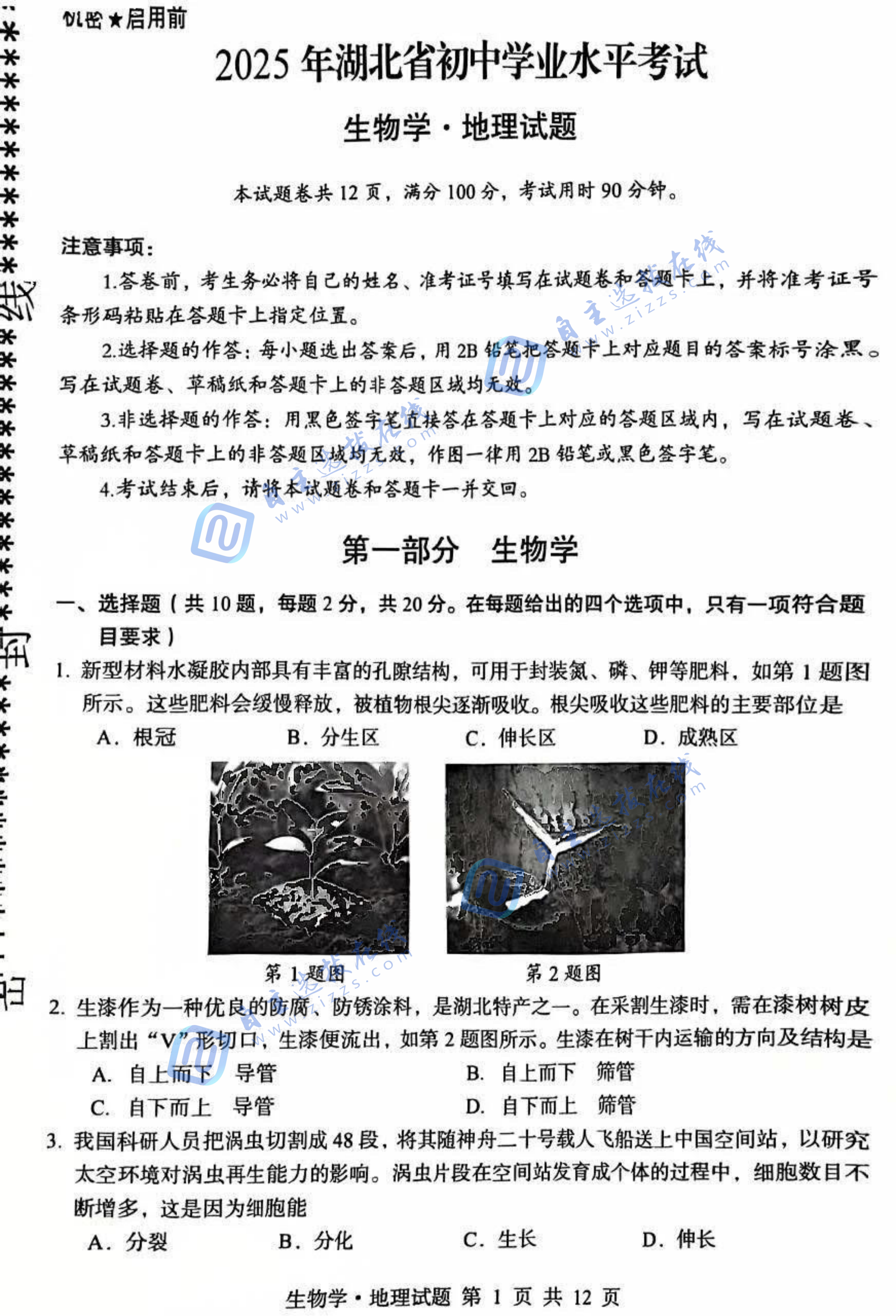 2025年湖北省中考生物试题及答案