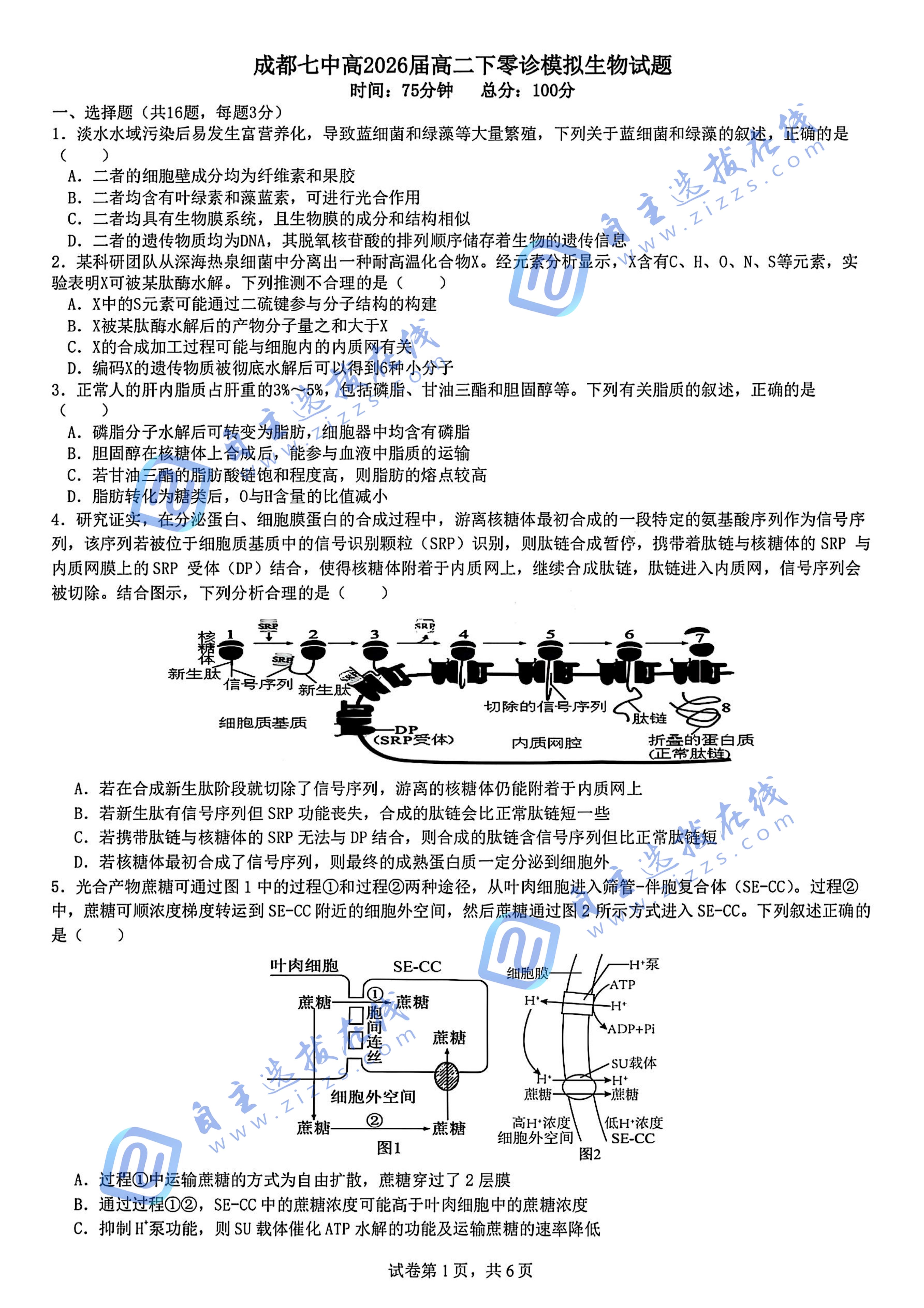 成都七中2024-2025学年度下期高2026届零诊生物试题及答案