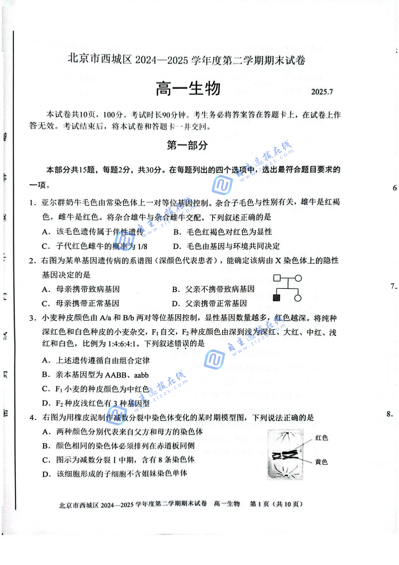 2025北京市西城区高一下期末生物试题及答案