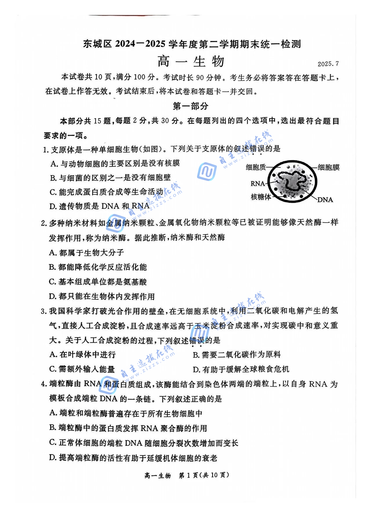 2025年7月北京市东城区高一下期末生物试题及答案