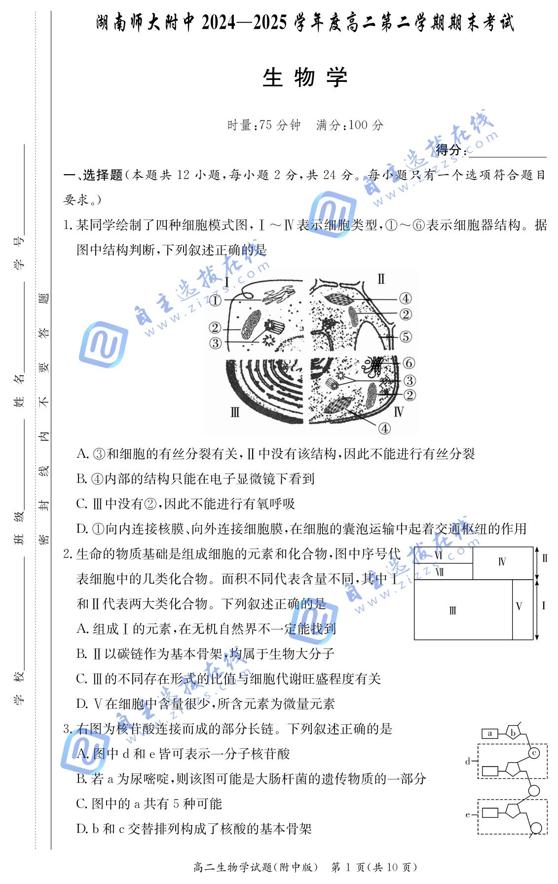 湖南师大附中2024-2025学年高二下学期期末生物试题及答案