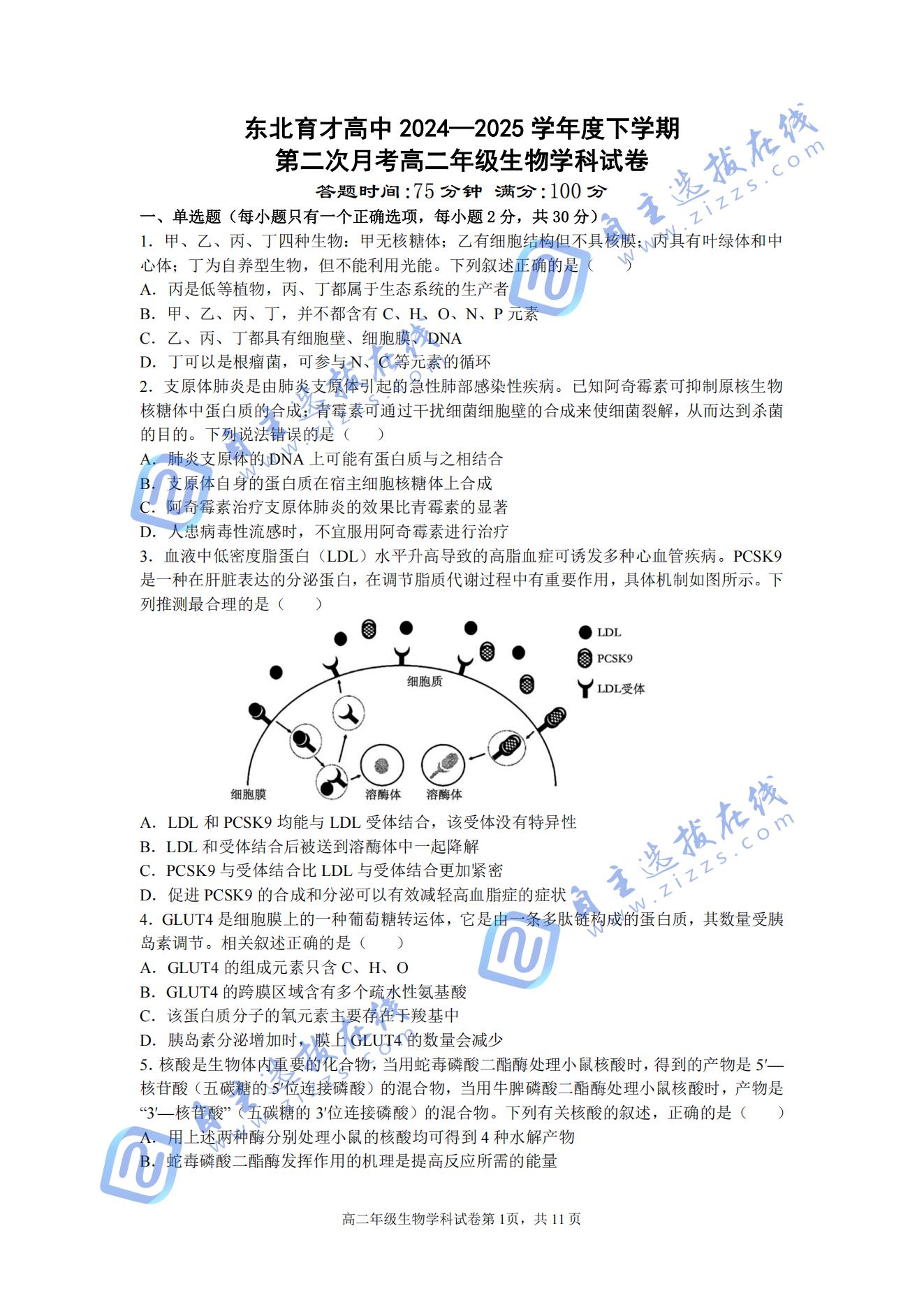 东北育才学校2024-2025学年高二下学期第二次月考生物试题及答案
