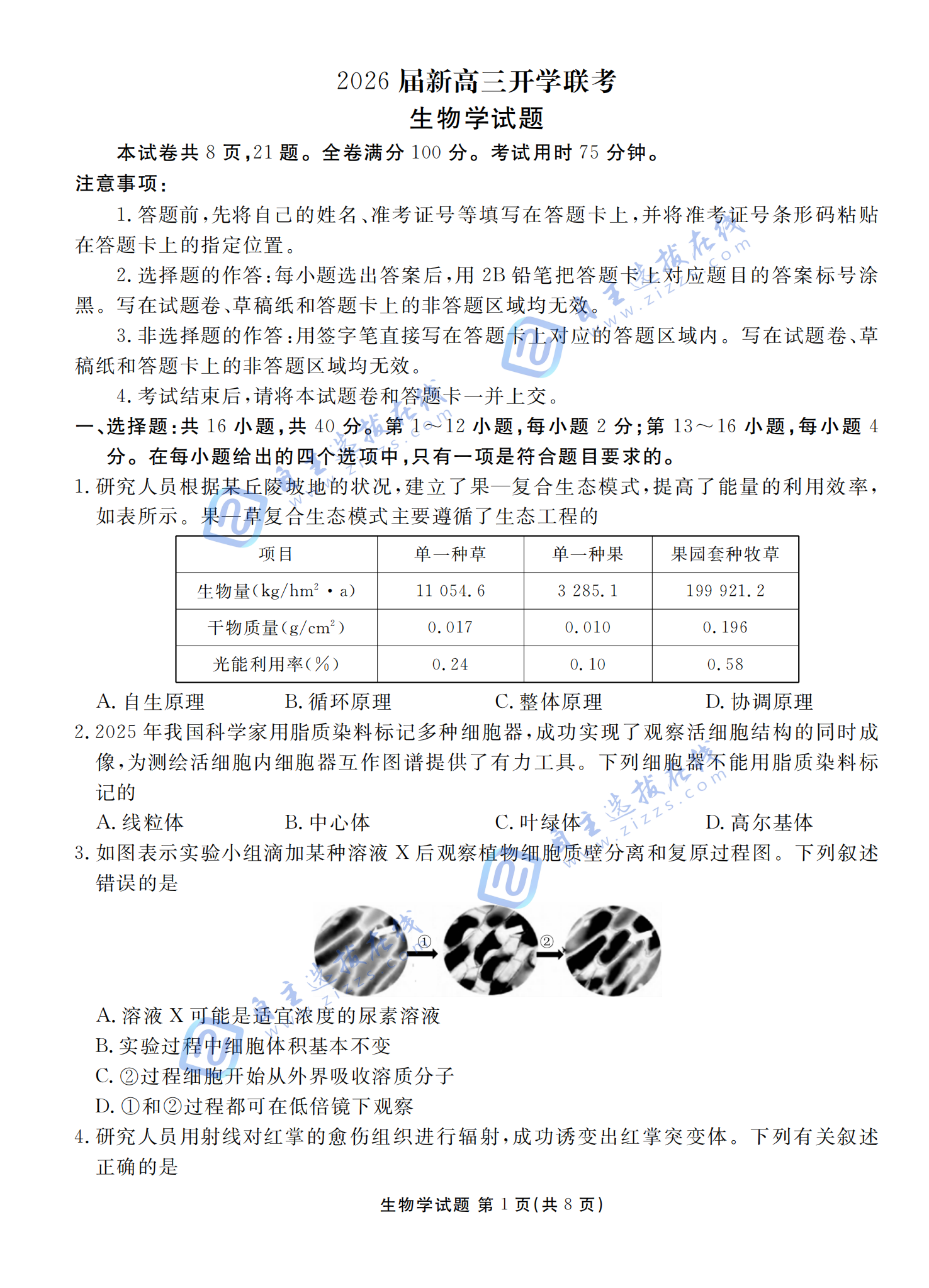 广东衡水金卷2026届新高三开学联考生物试题及答案