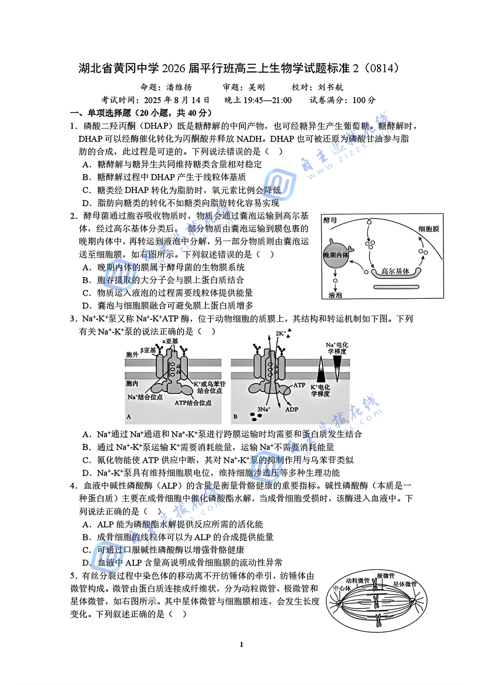 湖北黄冈中学2026届平行班高三（上）生物试题及答案