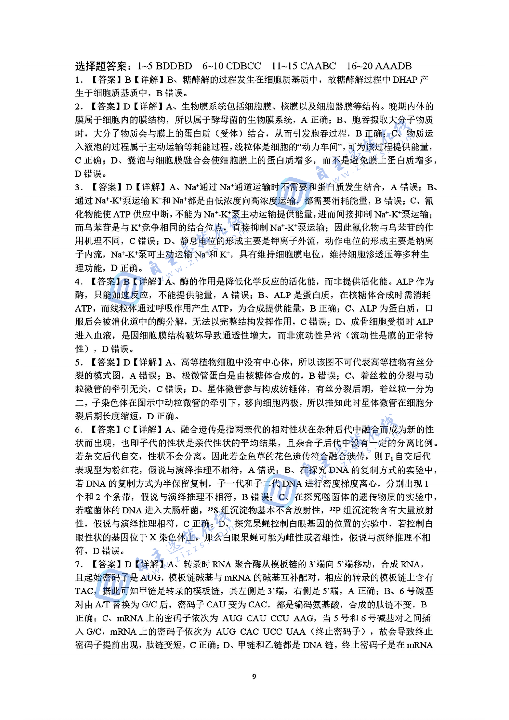 湖北黄冈中学2026届平行班高三（上）生物试题及答案