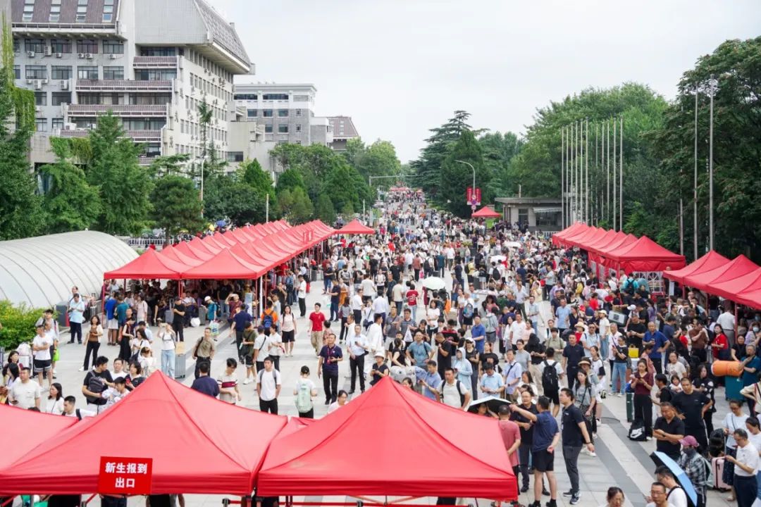 北京大学2025级本科新生大数据曝光！