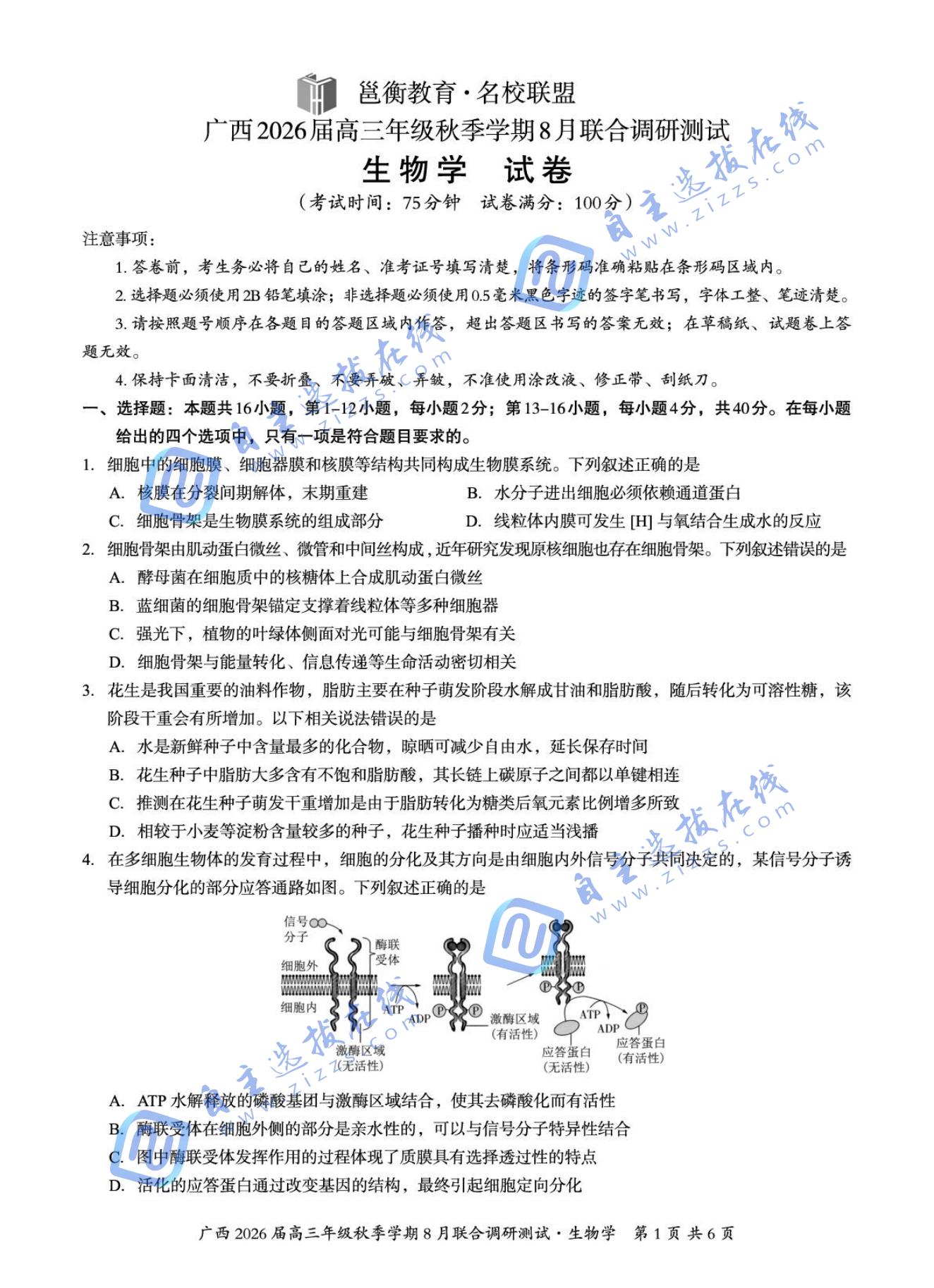 广西邕衡教育2026届高三8月联合调研测试生物试题及答案