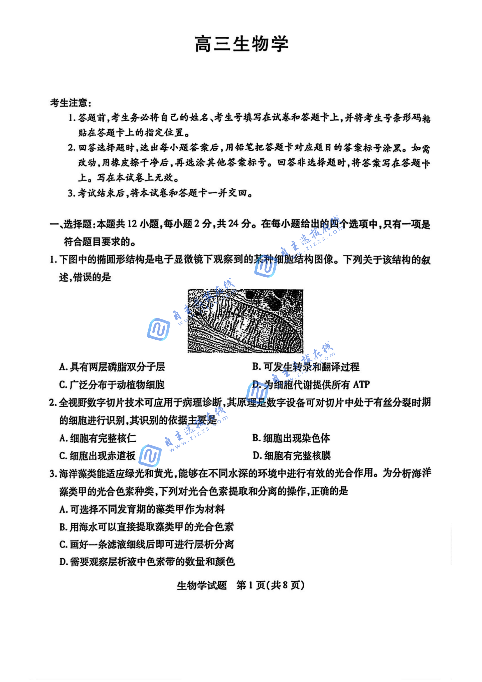 湖南天一大联考2026届高三阶段检测生物试题及答案（一）