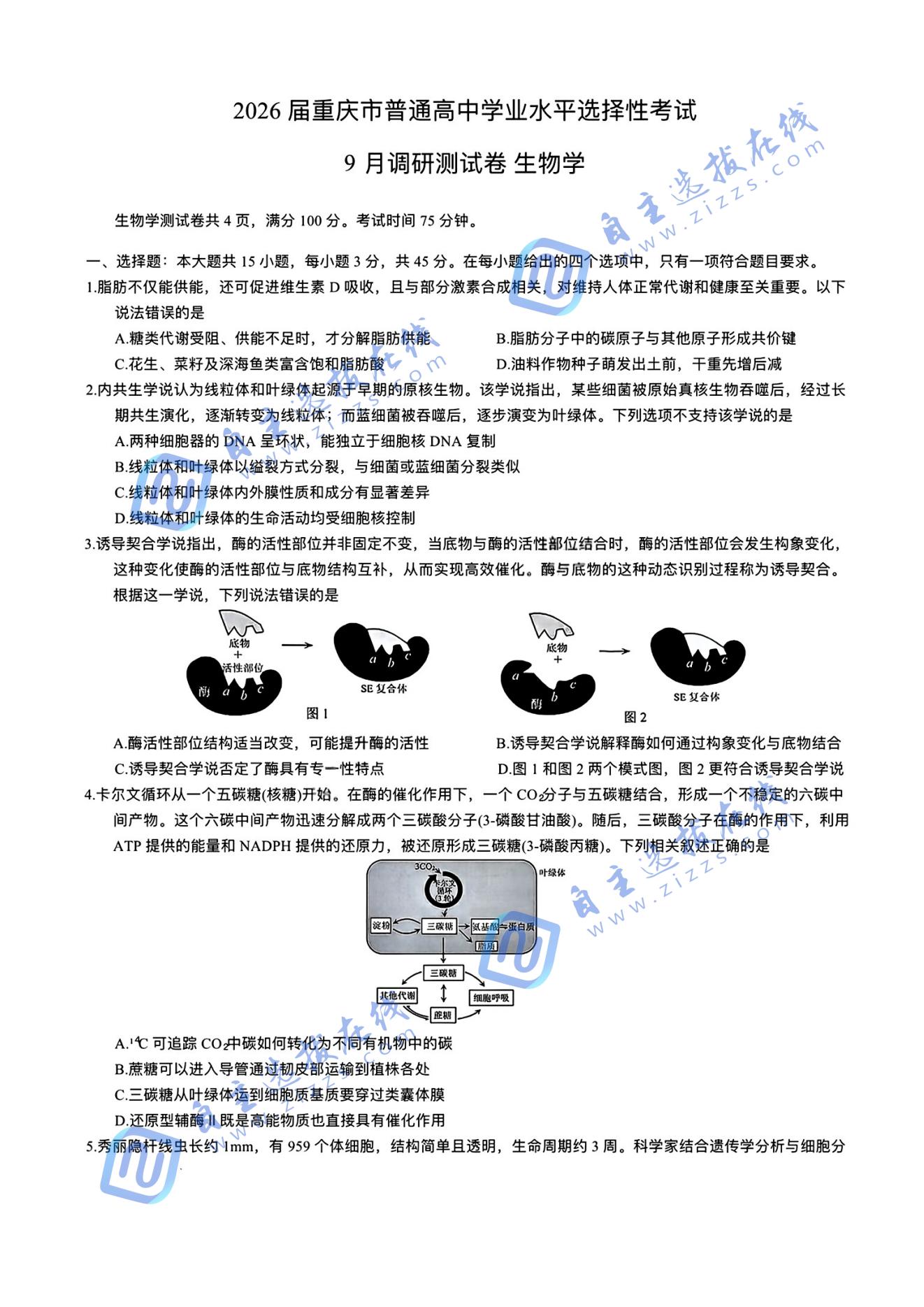 重庆市2026届高三9月调研测试生物试题及答案（康德卷）