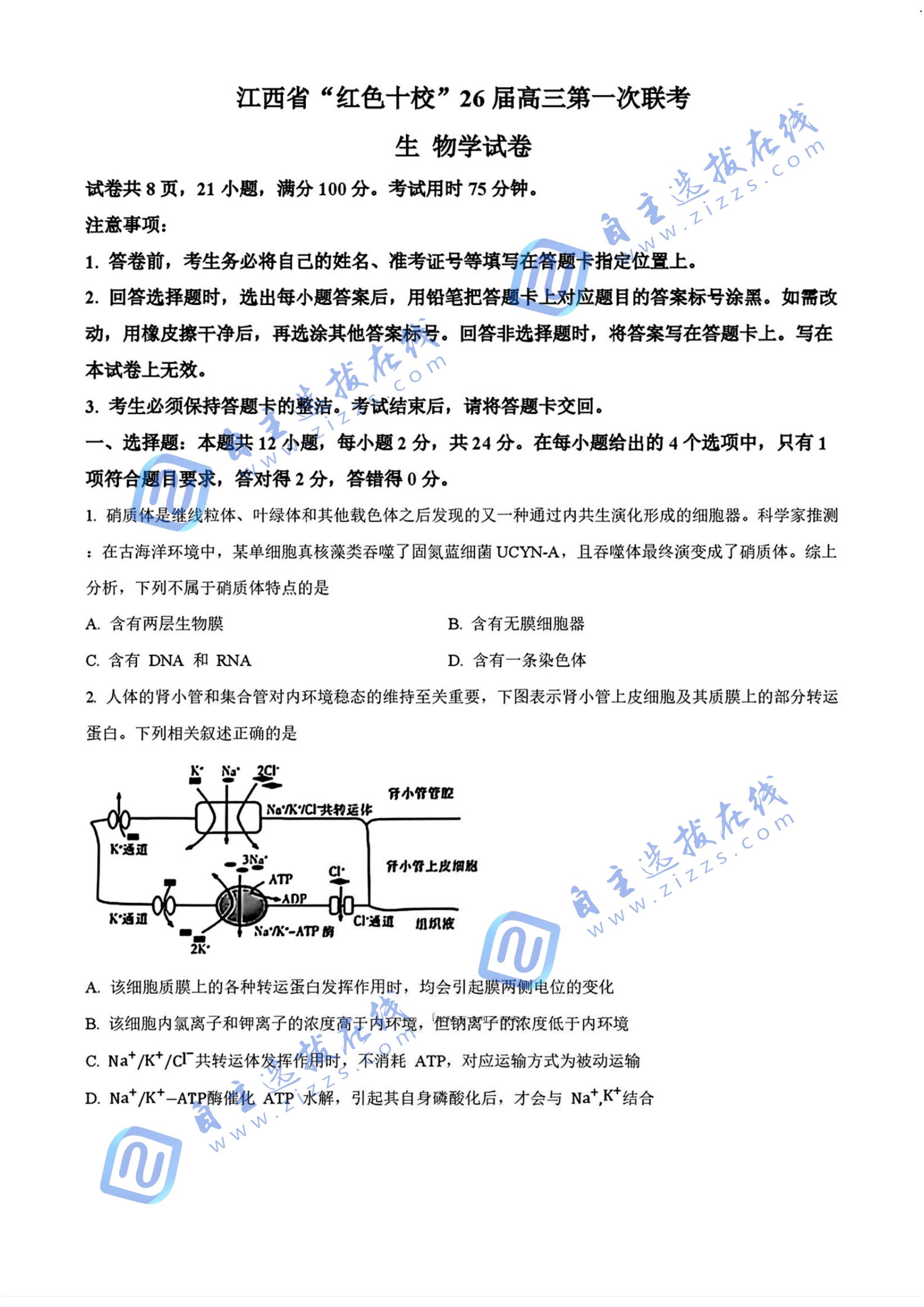 江西省紅色十校2026屆高三第一次聯(lián)考生物試題及答案