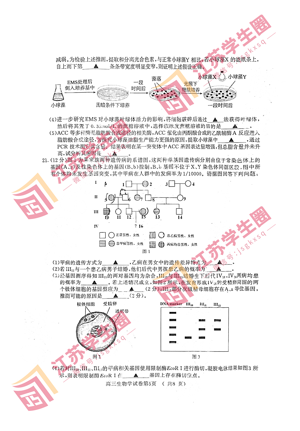 江苏省2023年南京高三三模生物试卷和答案