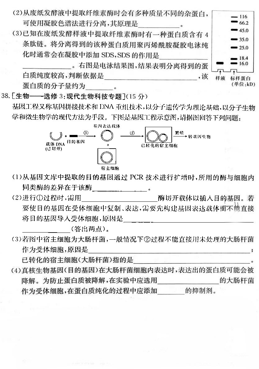2023年普通高等学校招生考试全国统一考试理综样卷（一）（全国卷）