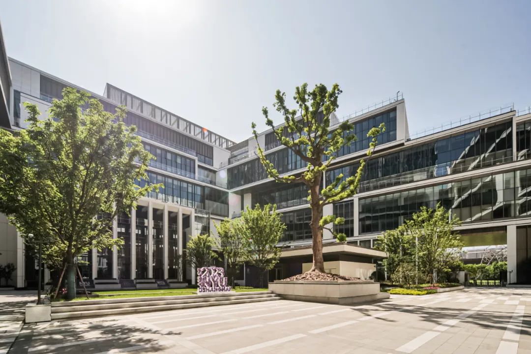 上海纽约大学