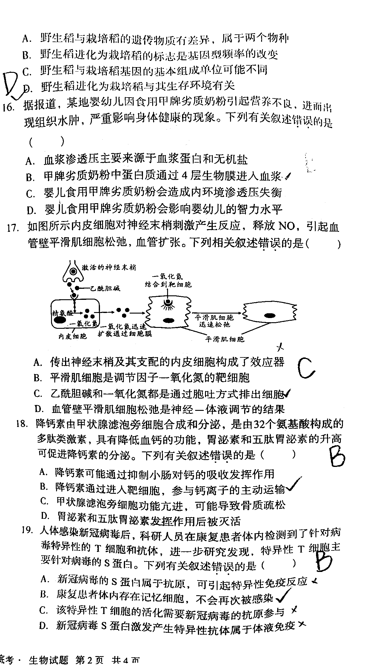A10联盟2022届高三摸底考试生物试题4