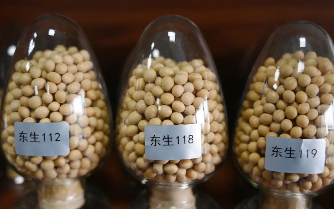 国科大本科录取通知书里有“北斗七星”