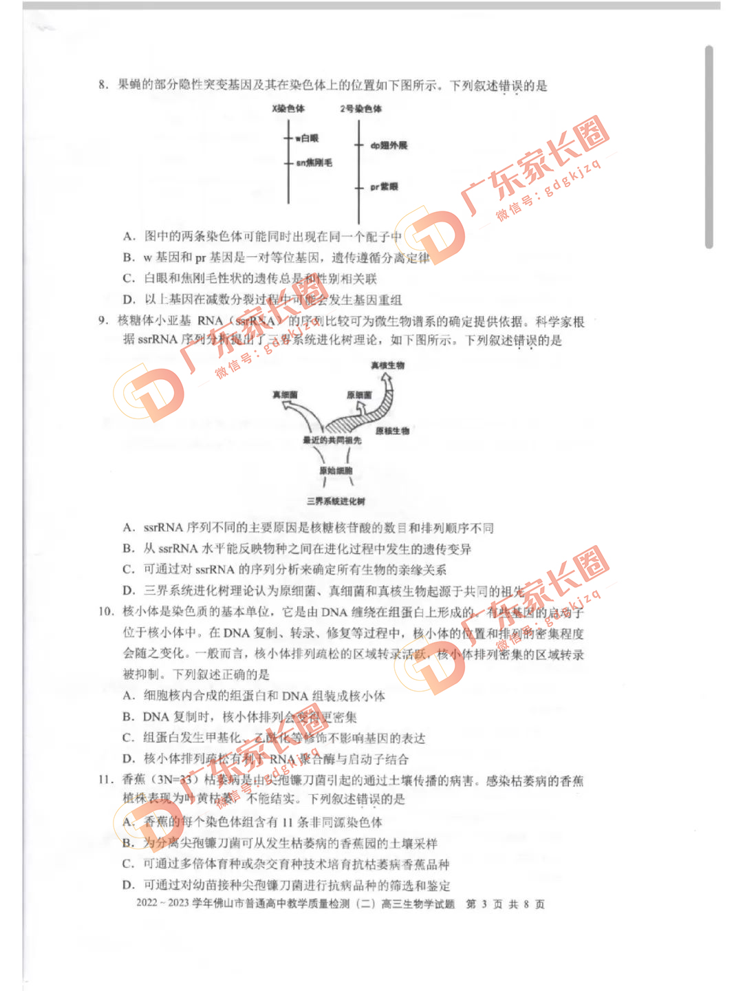 2023佛山高三二模生物试卷