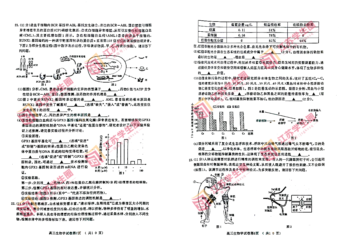 2023江苏南京盐城高三二模生物试题