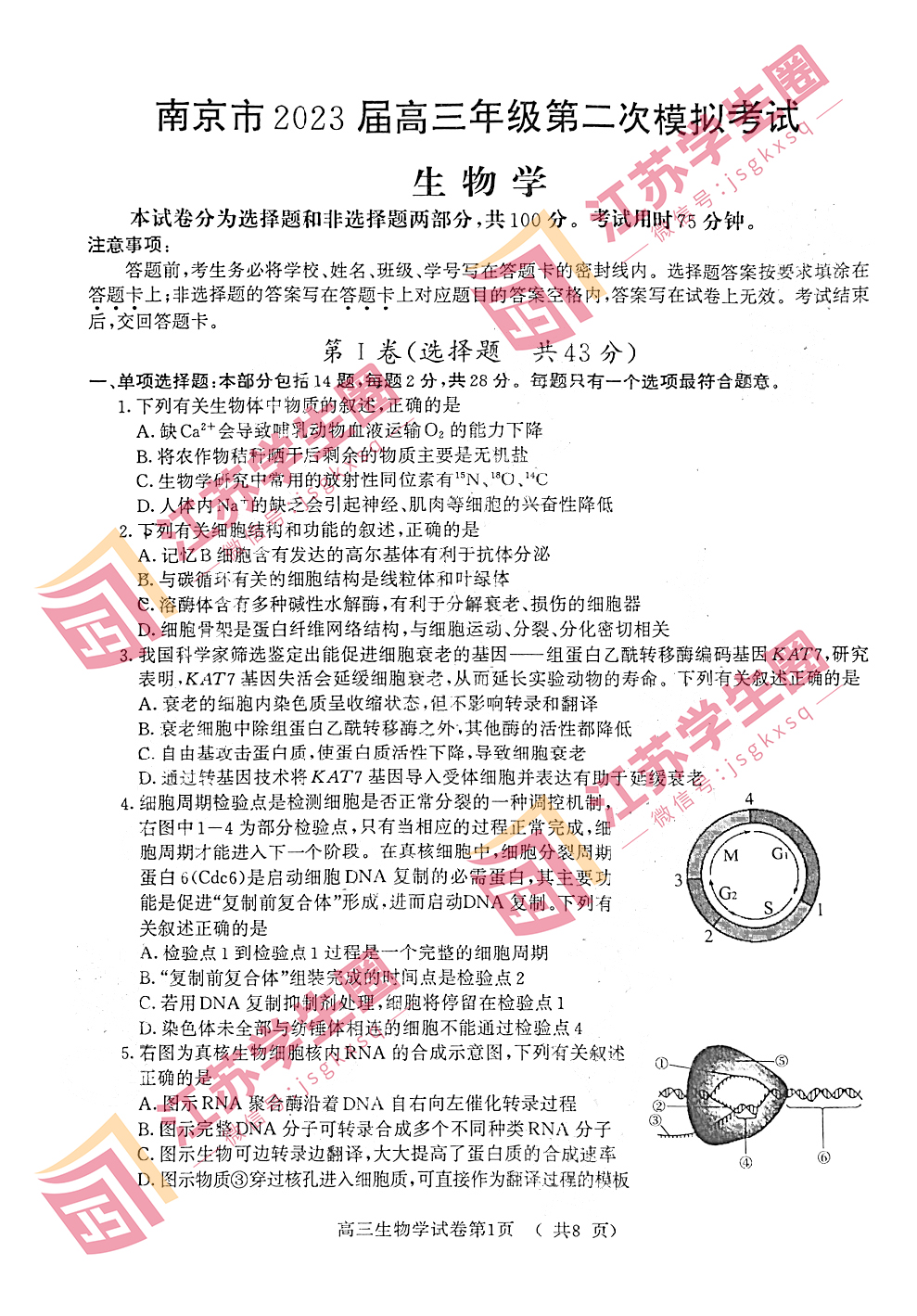 江苏省2023年南京高三三模生物试卷和答案
